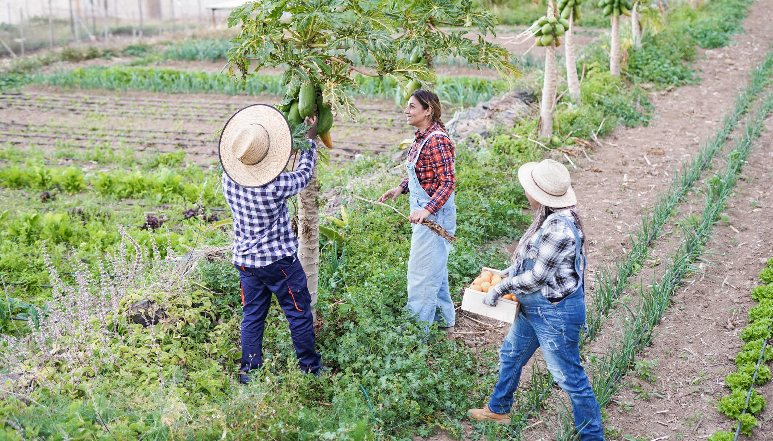Carlos César Floriano apresenta edital para Assistência Técnica da Agricultura Familiar