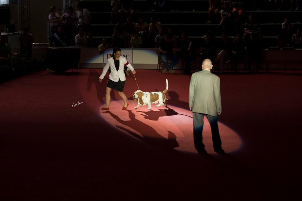 São Paulo recebe maior evento de cães do mundo